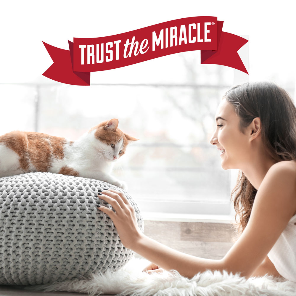 Nature's miracle litter box odor destroyer discount